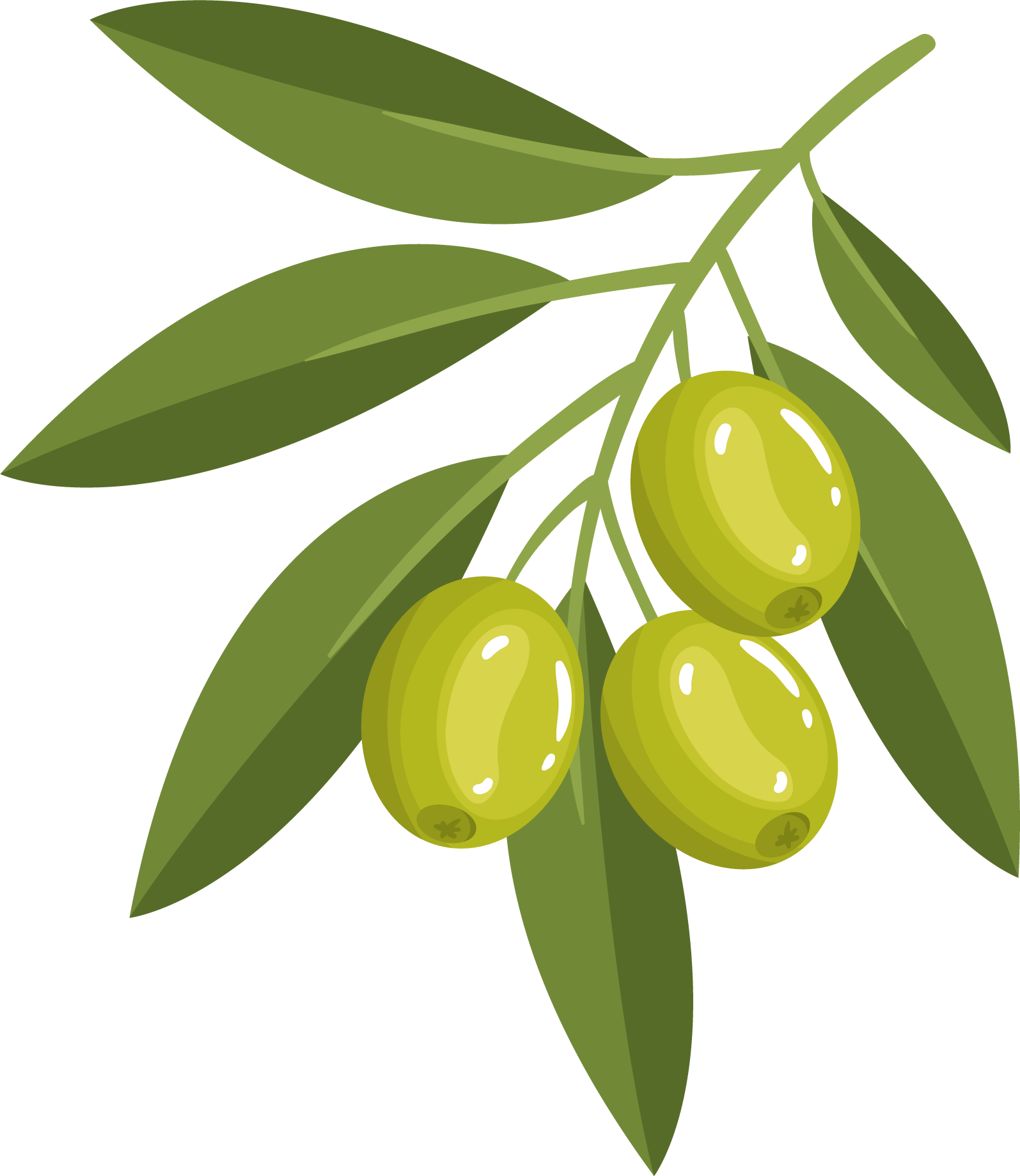 olive-beauty-2