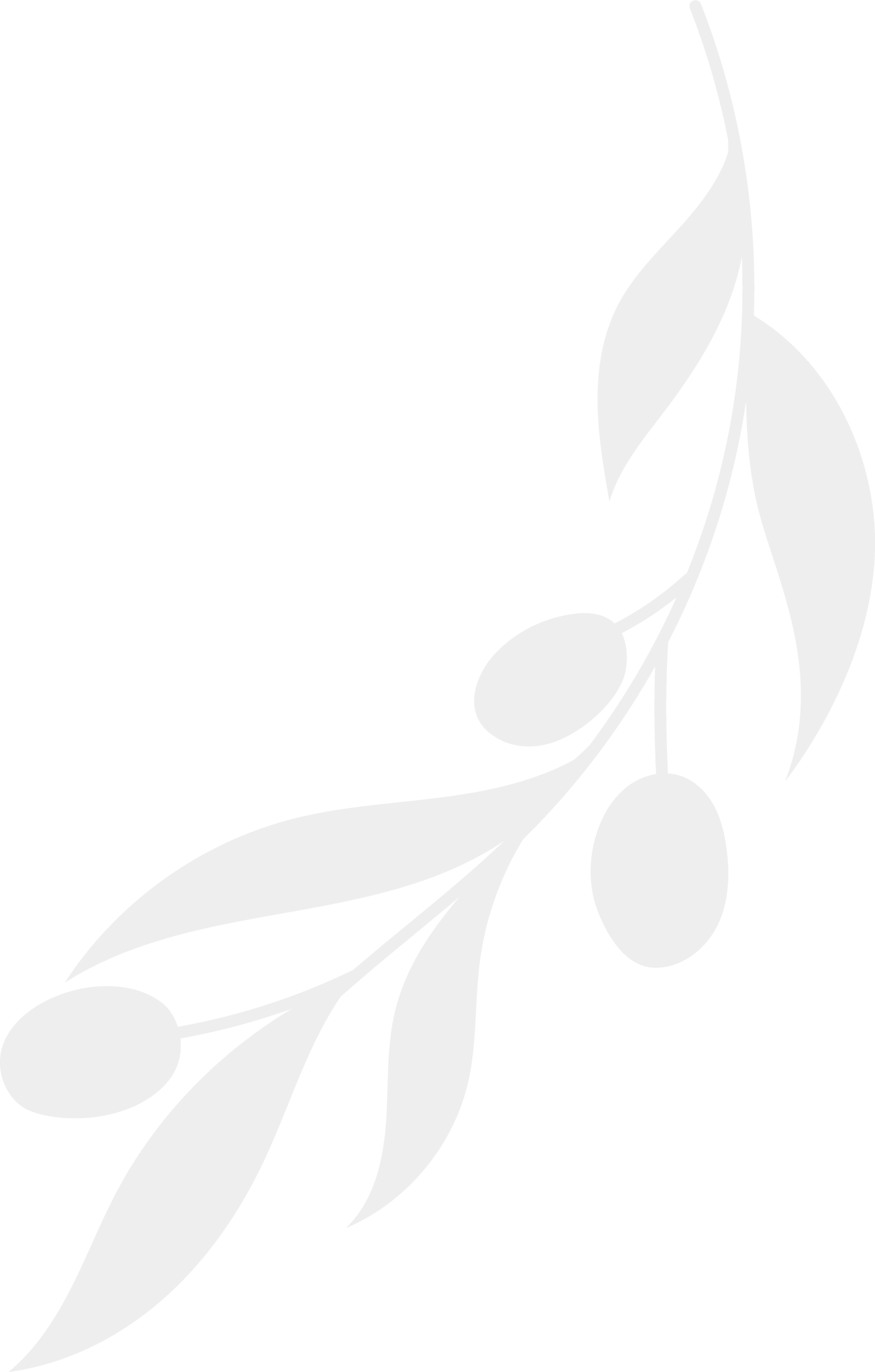 olive-beauty