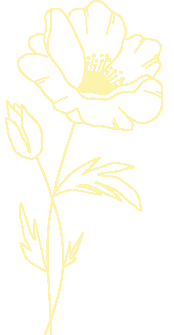 poppy-flower-raed-asadel-training